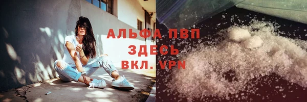 Альфа ПВП Бородино