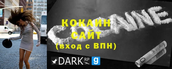 Альфа ПВП Бородино