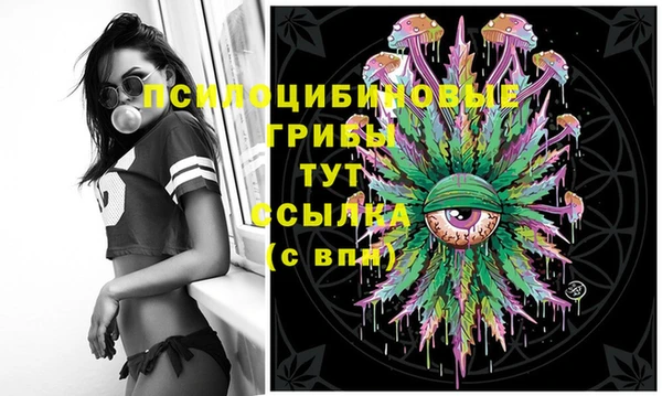 герыч Бугульма