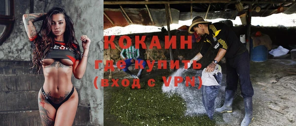 гашик Бронницы