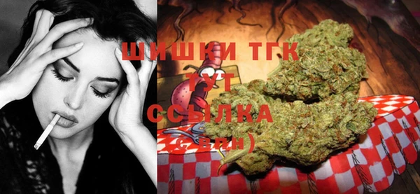 гашик Бронницы