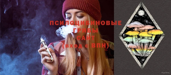 Альфа ПВП Бородино