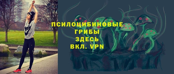Альфа ПВП Бородино