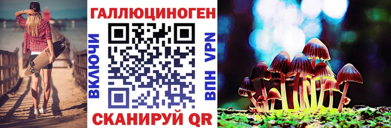 Псилоцибиновые грибы Cubensis Пятигорск
